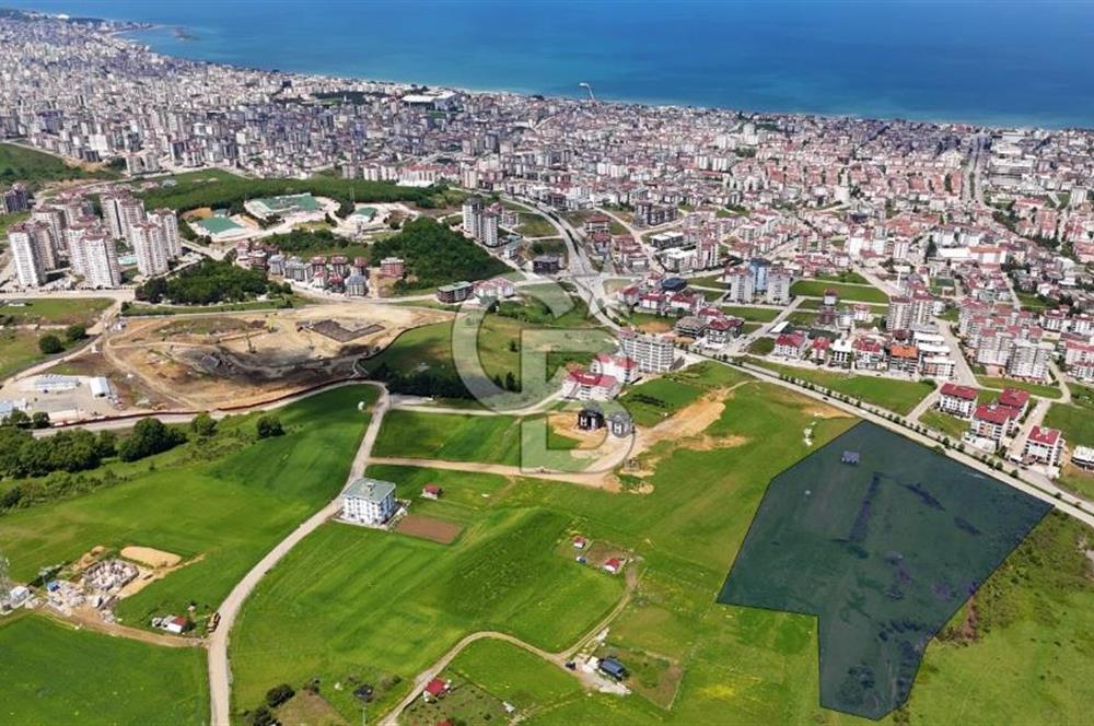 Balaçta Recep Tayyip Erdoğan Bulvarına Cephe 25 Dönüm Eşsiz Arsa