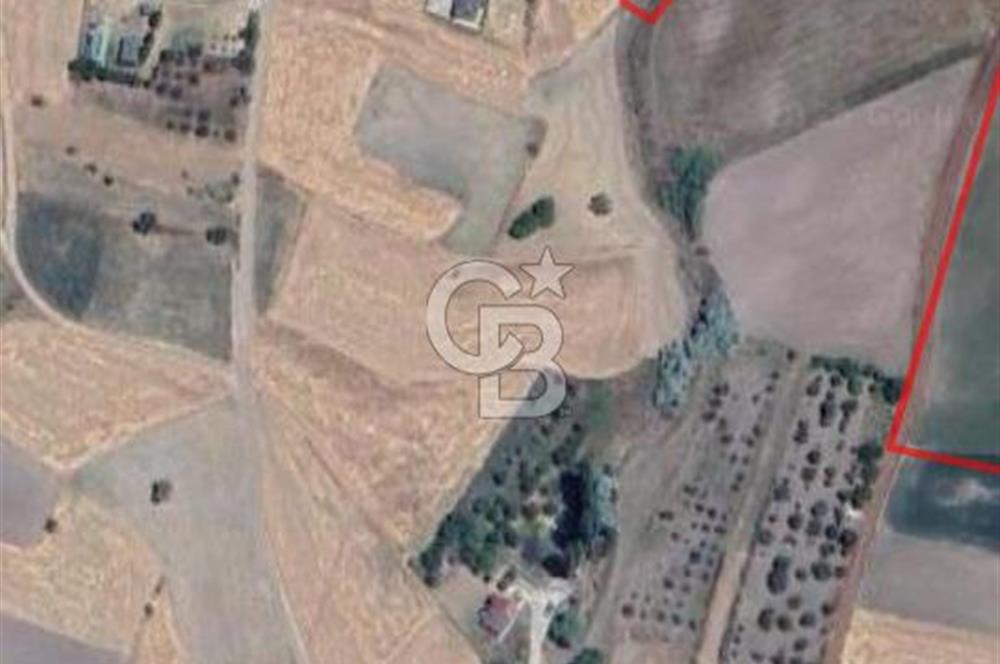 Ankara Çubuk'ta 600 m2 Satılık Bahçe