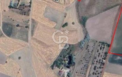 Ankara Çubuk'ta 600 m2 Satılık Bahçe