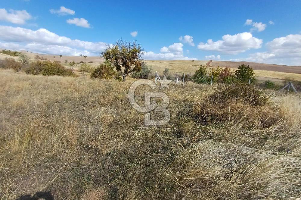 Ankara Çubuk'ta 600 m2 Satılık Bahçe