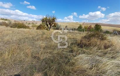 Ankara Çubuk'ta 600 m2 Satılık Bahçe