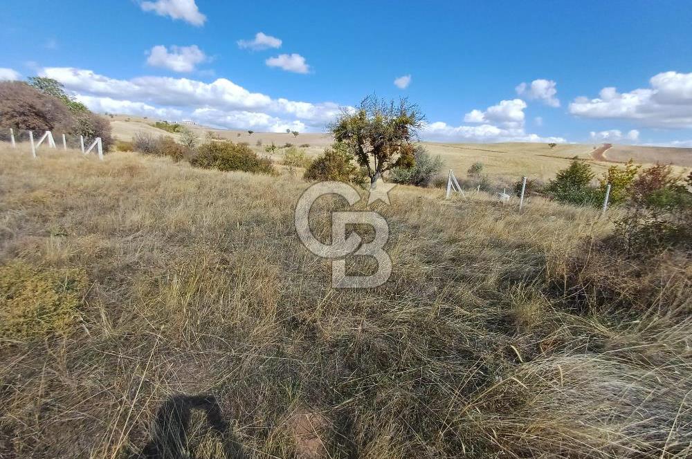 Ankara Çubuk'ta 600 m2 Satılık Bahçe