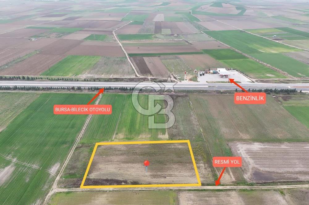 Bursa Yenişehir Ebeyköy'de Asfalt Yola Yakın Satılık Tarla