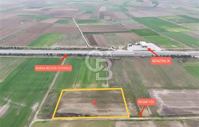 Bursa Yenişehir Ebeyköy'de Asfalt Yola Yakın Satılık Tarla