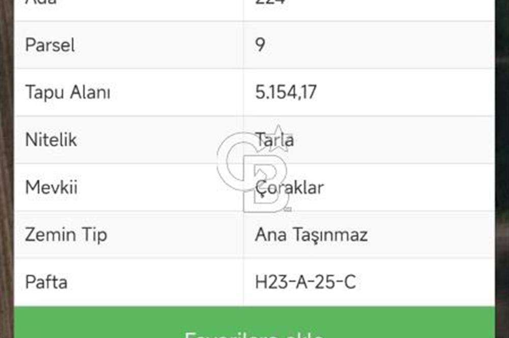 Bursa Yenişehir Ebeyköy'de Asfalt Yola Yakın Satılık Tarla