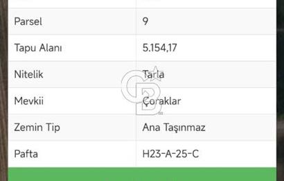 Bursa Yenişehir Ebeyköy'de Asfalt Yola Yakın Satılık Tarla