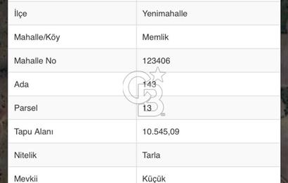 MEMLİK MERKEZE 4 KM MESAFEDE YOLA CEPHE TEK TAPU SATILIK TARLA