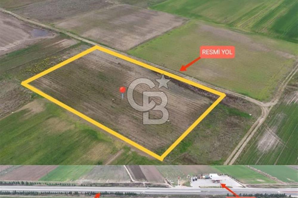 Bursa Yenişehir Ebeyköy'de Asfalt Yola Yakın Satılık Tarla