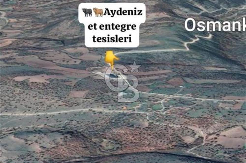 BALIKESİR İVRİNDİ SARIPINAR MAHALLESİ'NDE EKO TURİZM İMARINA UYGUN"43.575M2" EKO TURİZM İMARINA UYGUN MÜSTAKİL TAPULU SÜPER ARAZİ. 