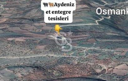 BALIKESİR İVRİNDİ SARIPINAR MAHALLESİ'NDE EKO TURİZM İMARINA UYGUN"43.575M2" EKO TURİZM İMARINA UYGUN MÜSTAKİL TAPULU SÜPER ARAZİ. 