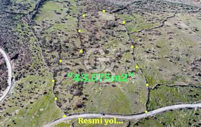 BALIKESİR İVRİNDİ SARIPINAR MAHALLESİ'NDE EKO TURİZM İMARINA UYGUN"43.575M2" EKO TURİZM İMARINA UYGUN MÜSTAKİL TAPULU SÜPER ARAZİ. 