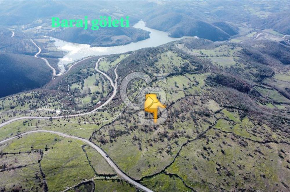 BALIKESİR İVRİNDİ SARIPINAR MAHALLESİ'NDE EKO TURİZM İMARINA UYGUN"43.575M2" EKO TURİZM İMARINA UYGUN MÜSTAKİL TAPULU SÜPER ARAZİ. 