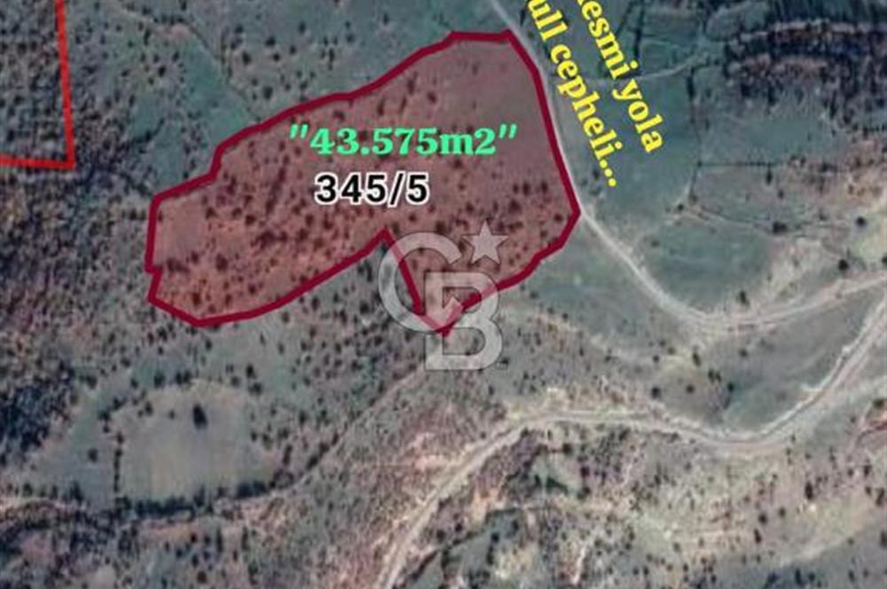 BALIKESİR İVRİNDİ SARIPINAR MAHALLESİ'NDE EKO TURİZM İMARINA UYGUN"43.575M2" EKO TURİZM İMARINA UYGUN MÜSTAKİL TAPULU SÜPER ARAZİ. 