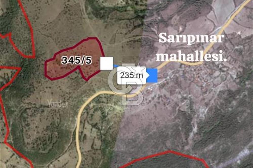 BALIKESİR İVRİNDİ SARIPINAR MAHALLESİ'NDE EKO TURİZM İMARINA UYGUN"43.575M2" EKO TURİZM İMARINA UYGUN MÜSTAKİL TAPULU SÜPER ARAZİ. 