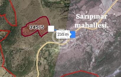 BALIKESİR İVRİNDİ SARIPINAR MAHALLESİ'NDE EKO TURİZM İMARINA UYGUN"43.575M2" EKO TURİZM İMARINA UYGUN MÜSTAKİL TAPULU SÜPER ARAZİ. 