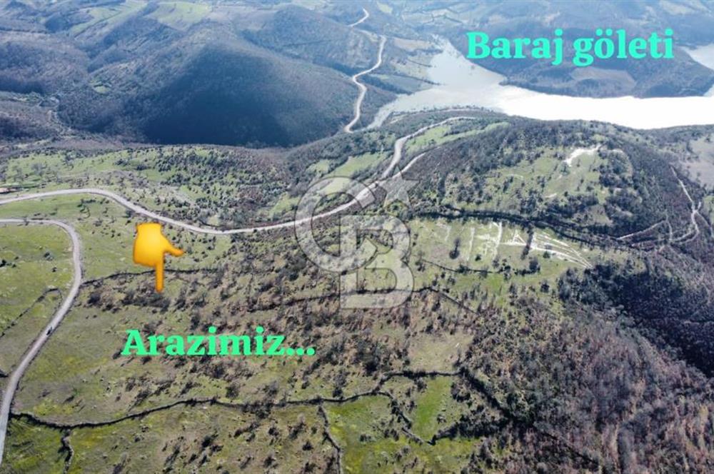 BALIKESİR İVRİNDİ SARIPINAR MAHALLESİ'NDE EKO TURİZM İMARINA UYGUN"43.575M2" EKO TURİZM İMARINA UYGUN MÜSTAKİL TAPULU SÜPER ARAZİ. 
