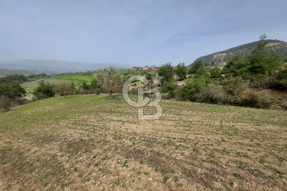 Bolu/Göynük/Ekincilerde Köy Girişinde Satılık 2593 M2 Tarla