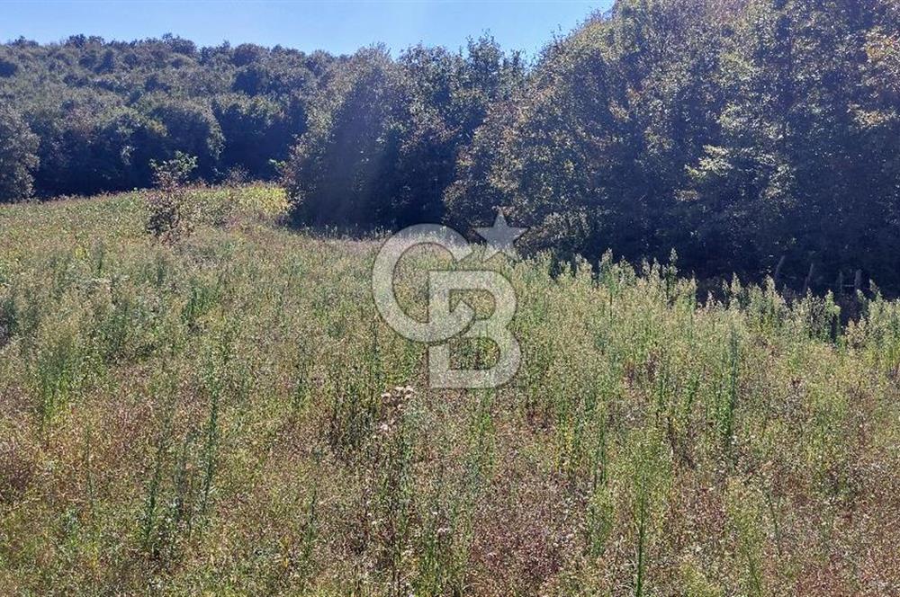 Kaynarca/Şeyhtimari Köyü/ 920 M2/orman kenarı/Satılık Arazi