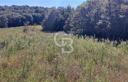 Kaynarca/Şeyhtimari Köyü/ 920 M2/orman kenarı/Satılık Arazi