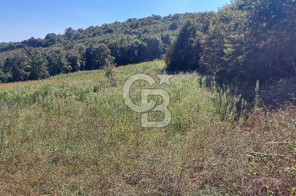 Kaynarca/Şeyhtimari Köyü/ 920 M2/orman kenarı/Satılık Arazi