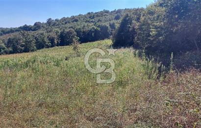 Kaynarca/Şeyhtimari Köyü/ 920 M2/orman kenarı/Satılık Arazi