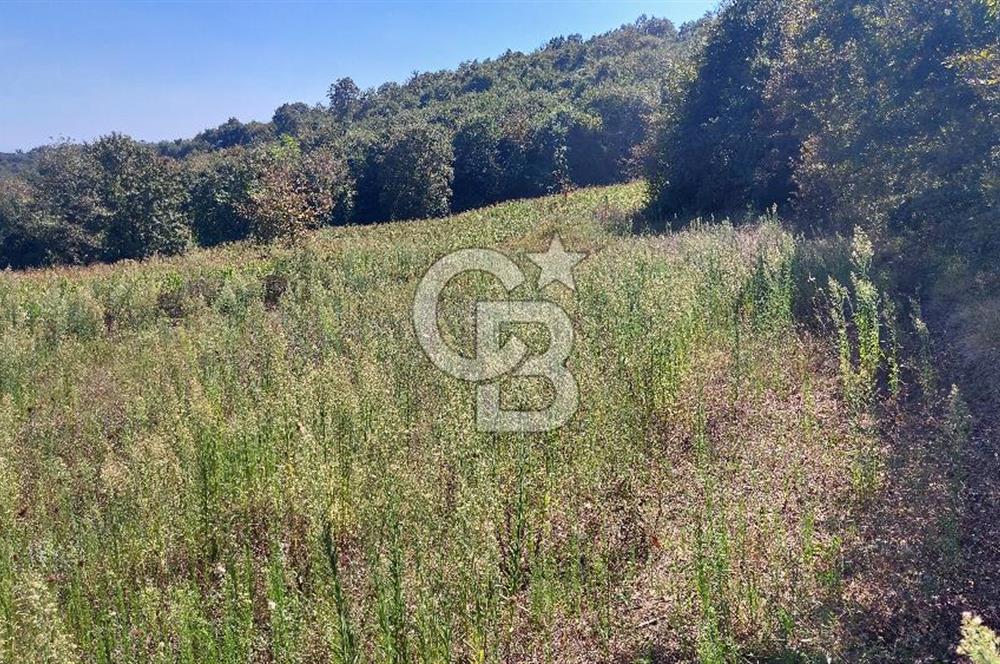 Kaynarca/Şeyhtimari Köyü/ 920 M2/orman kenarı/Satılık Arazi