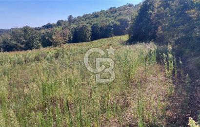 Kaynarca/Şeyhtimari Köyü/ 920 M2/orman kenarı/Satılık Arazi