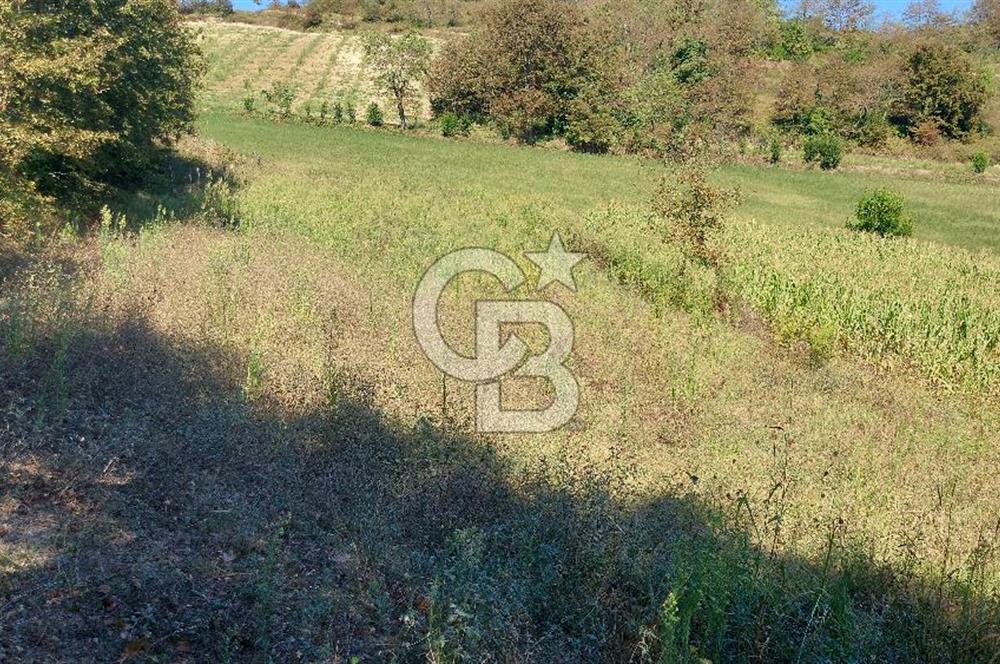 Kaynarca/Şeyhtimari Köyü/ 920 M2/orman kenarı/Satılık Arazi