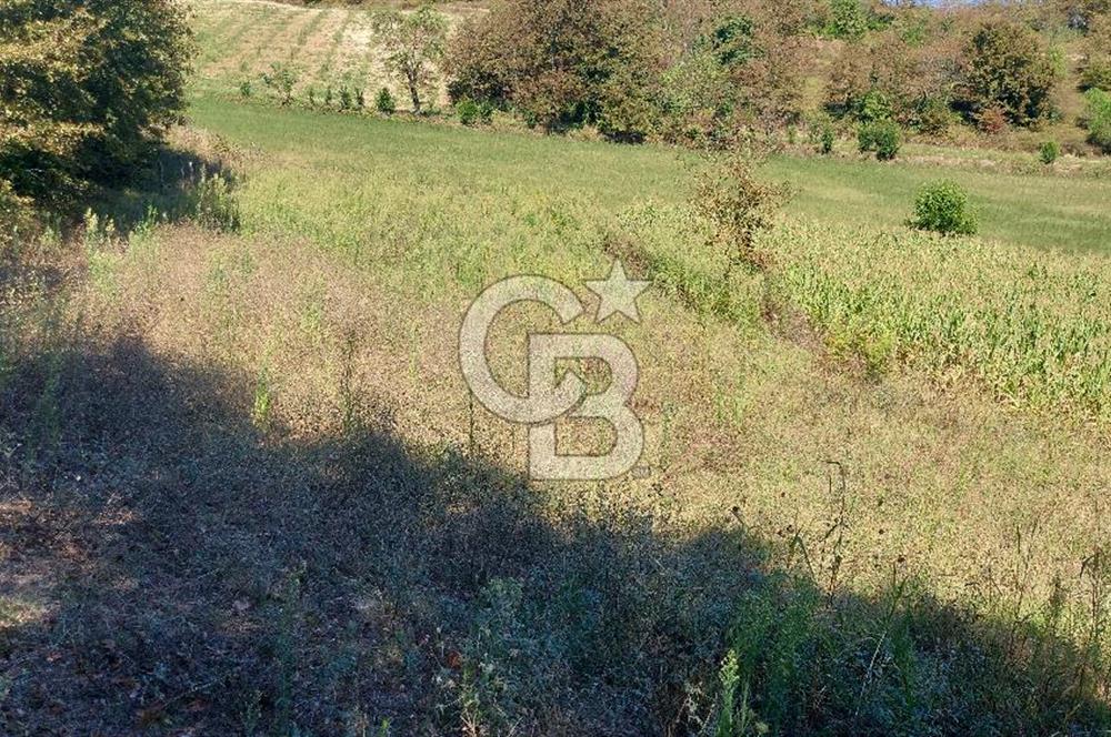 Kaynarca/Şeyhtimari Köyü/ 920 M2/orman kenarı/Satılık Arazi