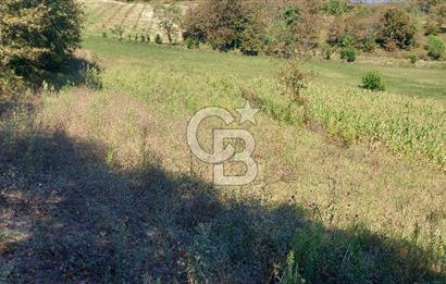 Kaynarca/Şeyhtimari Köyü/ 920 M2/orman kenarı/Satılık Arazi