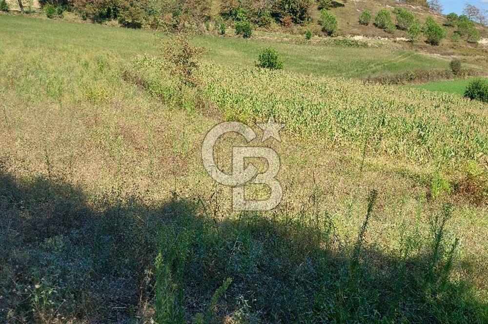 Kaynarca/Şeyhtimari Köyü/ 920 M2/orman kenarı/Satılık Arazi