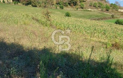 Kaynarca/Şeyhtimari Köyü/ 920 M2/orman kenarı/Satılık Arazi