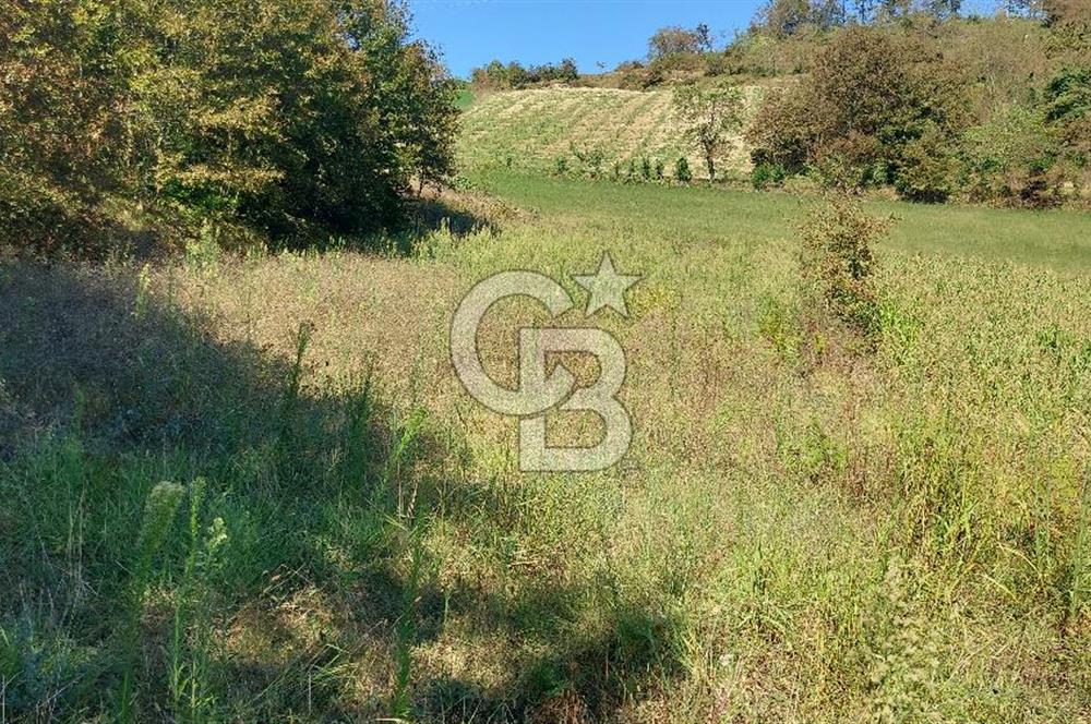Kaynarca/Şeyhtimari Köyü/ 920 M2/orman kenarı/Satılık Arazi