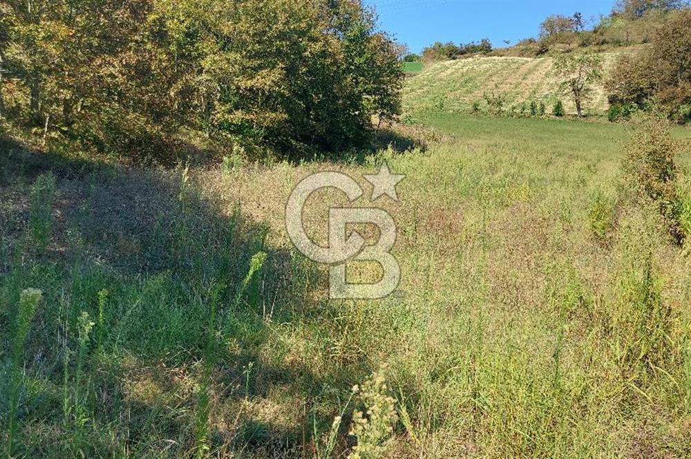 Kaynarca/Şeyhtimari Köyü/ 920 M2/orman kenarı/Satılık Arazi