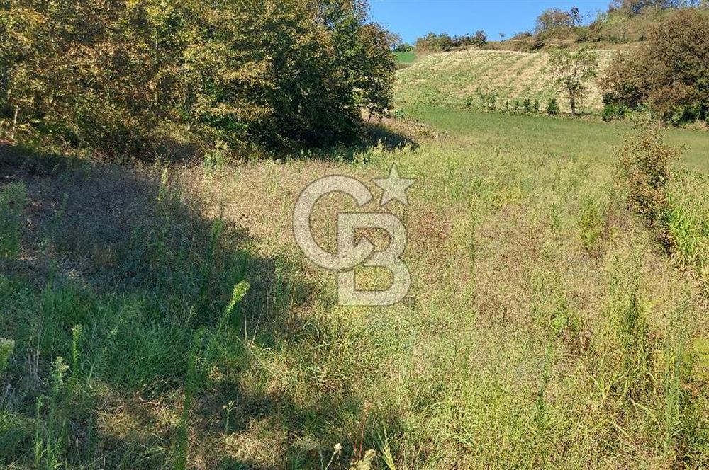 Kaynarca/Şeyhtimari Köyü/ 920 M2/orman kenarı/Satılık Arazi