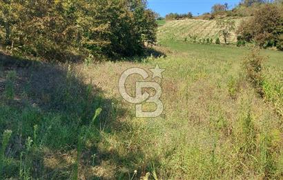 Kaynarca/Şeyhtimari Köyü/ 920 M2/orman kenarı/Satılık Arazi