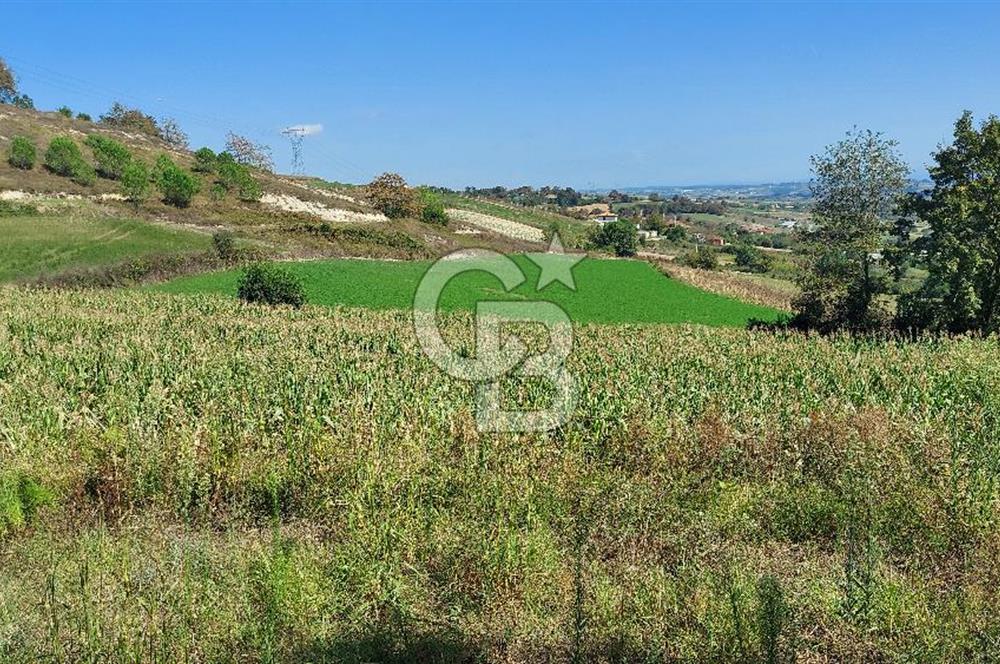 Kaynarca/Şeyhtimari Köyü/ 920 M2/orman kenarı/Satılık Arazi