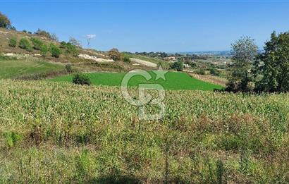 Kaynarca/Şeyhtimari Köyü/ 920 M2/orman kenarı/Satılık Arazi