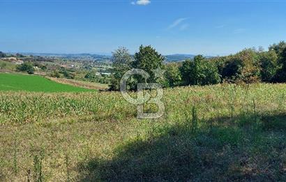 Kaynarca/Şeyhtimari Köyü/ 920 M2/orman kenarı/Satılık Arazi