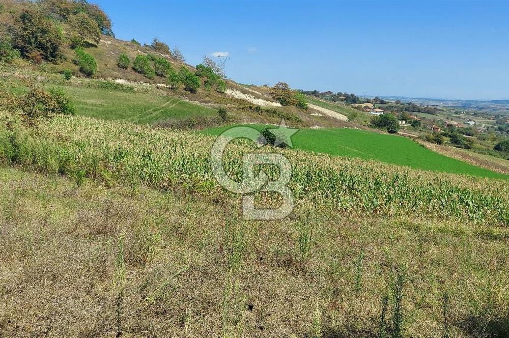 Kaynarca/Şeyhtimari Köyü/ 920 M2/orman kenarı/Satılık Arazi