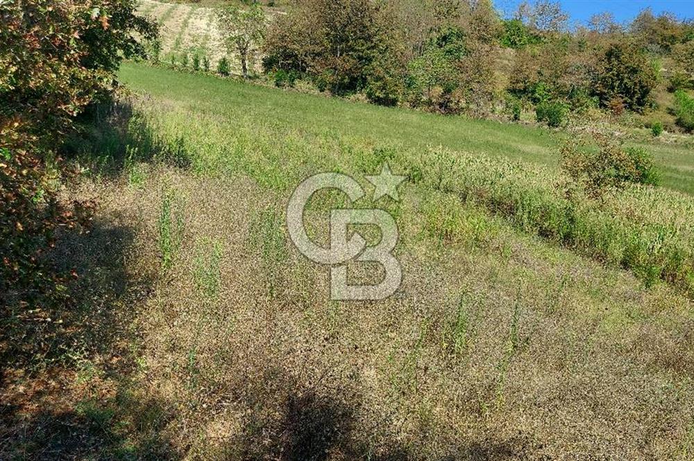 Kaynarca/Şeyhtimari Köyü/ 920 M2/orman kenarı/Satılık Arazi