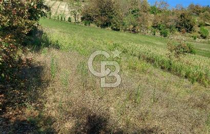 Kaynarca/Şeyhtimari Köyü/ 920 M2/orman kenarı/Satılık Arazi