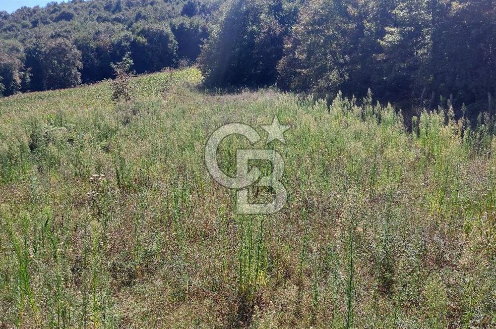 Kaynarca/Şeyhtimari Köyü/ 920 M2/orman kenarı/Satılık Arazi