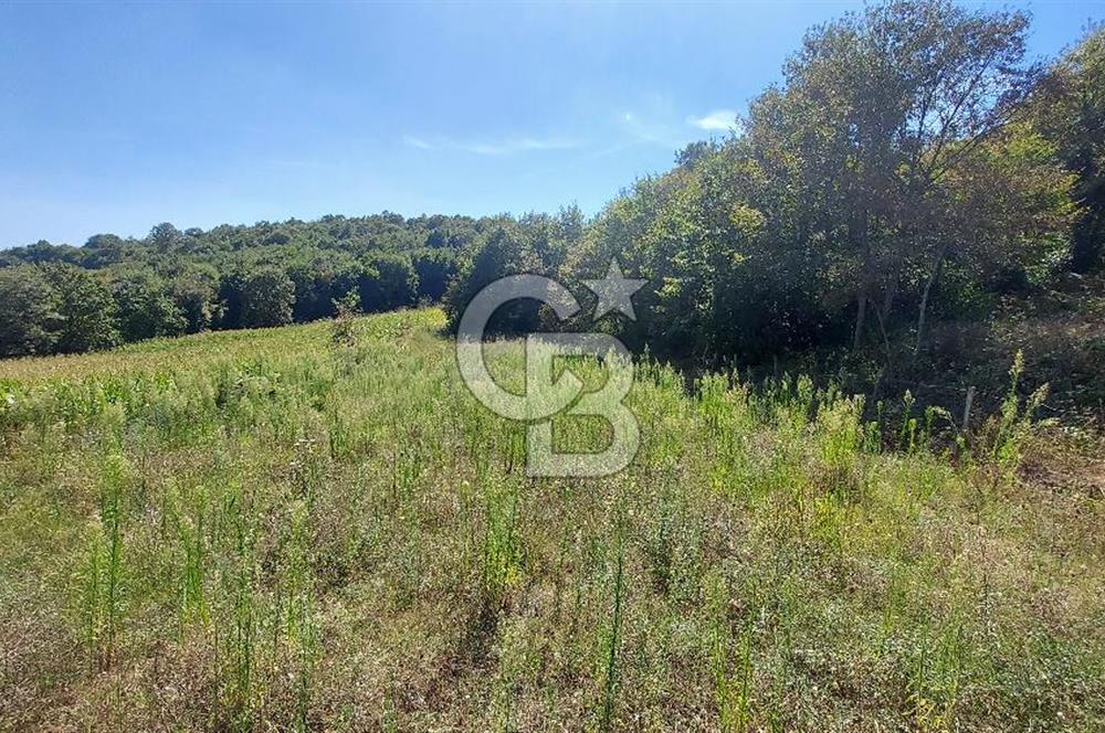 Kaynarca/Şeyhtimari Köyü/ 920 M2/orman kenarı/Satılık Arazi