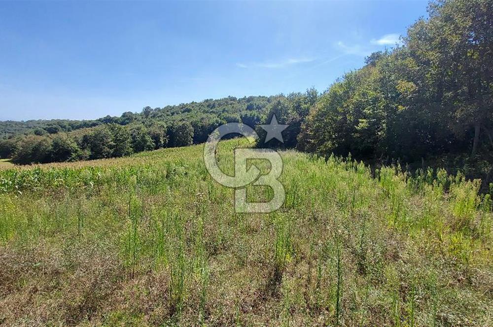 Kaynarca/Şeyhtimari Köyü/ 920 M2/orman kenarı/Satılık Arazi