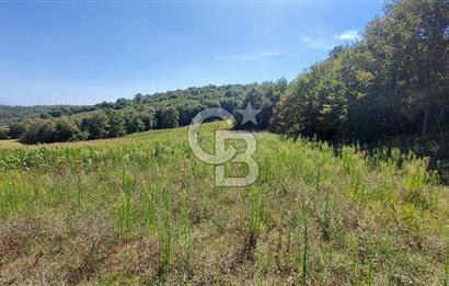 Kaynarca/Şeyhtimari Köyü/ 920 M2/orman kenarı/Satılık Arazi