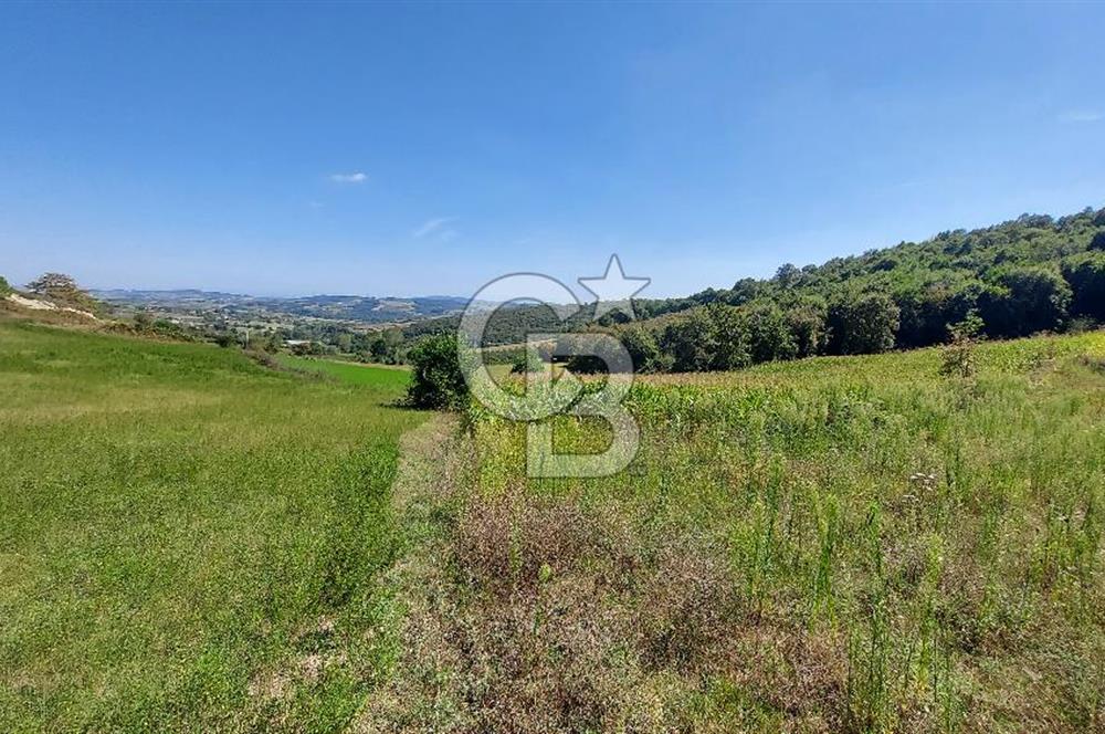 Kaynarca/Şeyhtimari Köyü/ 920 M2/orman kenarı/Satılık Arazi