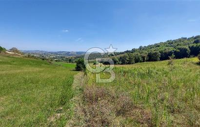 Kaynarca/Şeyhtimari Köyü/ 920 M2/orman kenarı/Satılık Arazi