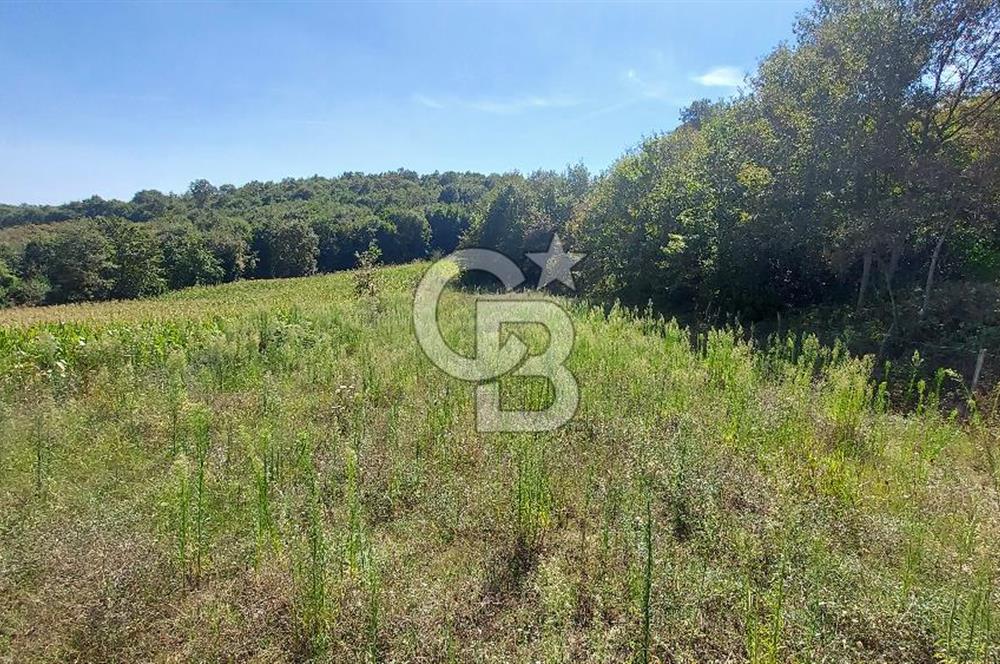 Kaynarca/Şeyhtimari Köyü/ 920 M2/orman kenarı/Satılık Arazi