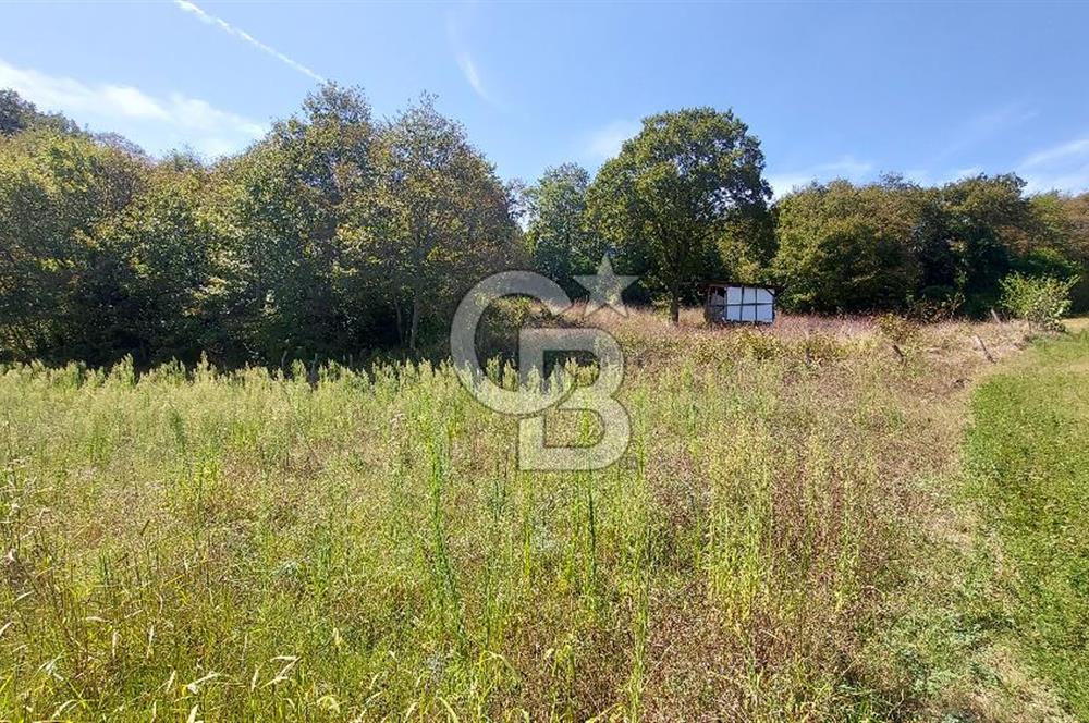 Kaynarca/Şeyhtimari Köyü/ 920 M2/orman kenarı/Satılık Arazi
